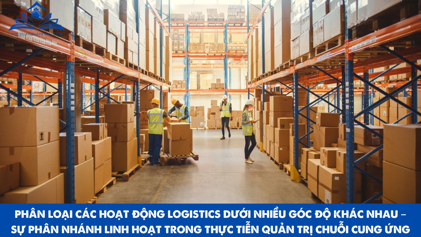 PHÂN LOẠI CÁC HOẠT ĐỘNG LOGISTICS DƯỚI NHIỀU GÓC ĐỘ KHÁC NHAU – SỰ PHÂN NHÁNH LINH HOẠT TRONG THỰC TIỄN QUẢN TRỊ CHUỖI CUNG ỨNG