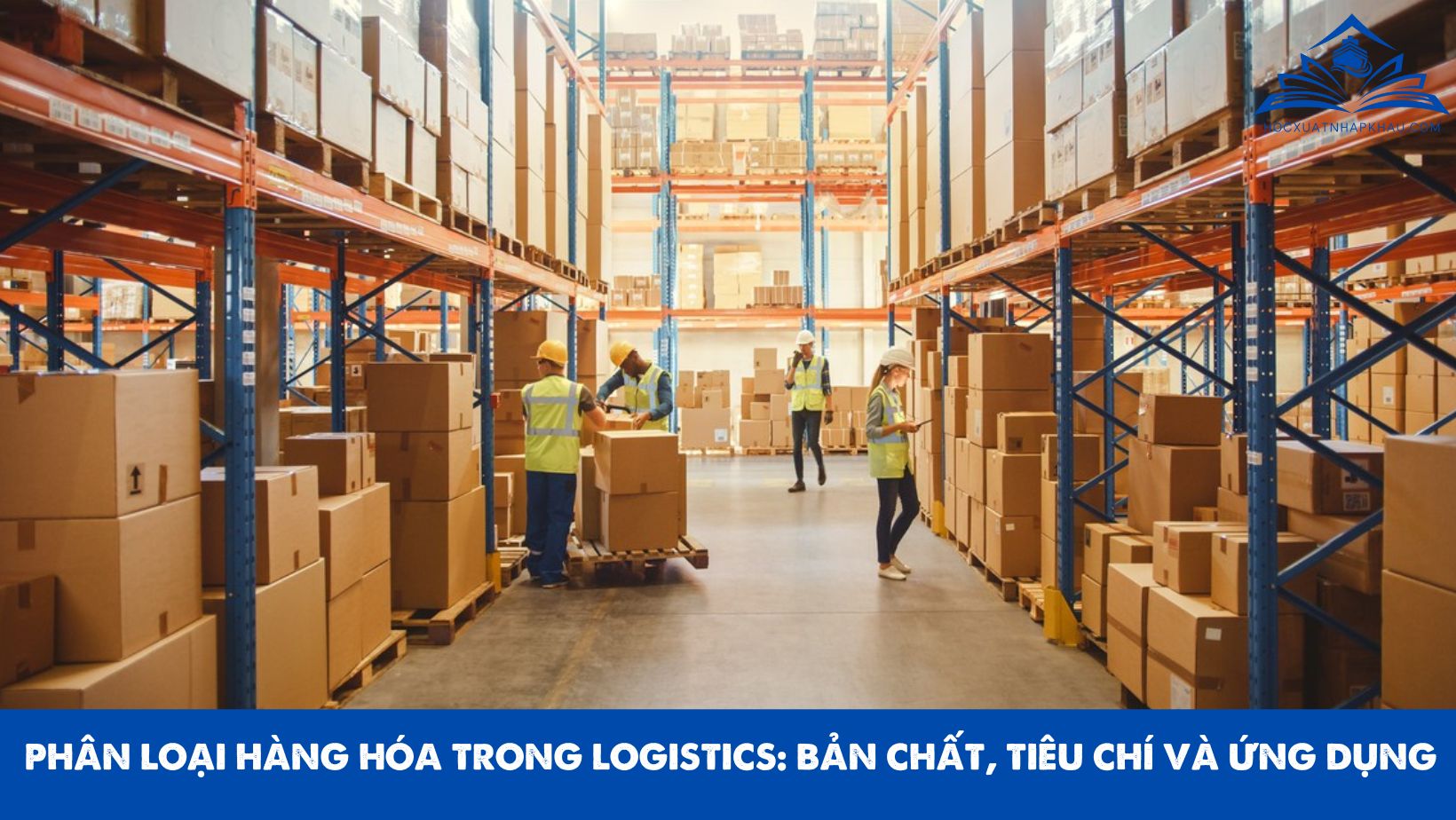 PHÂN LOẠI HÀNG HÓA TRONG LOGISTICS: BẢN CHẤT, TIÊU CHÍ VÀ ỨNG DỤNG