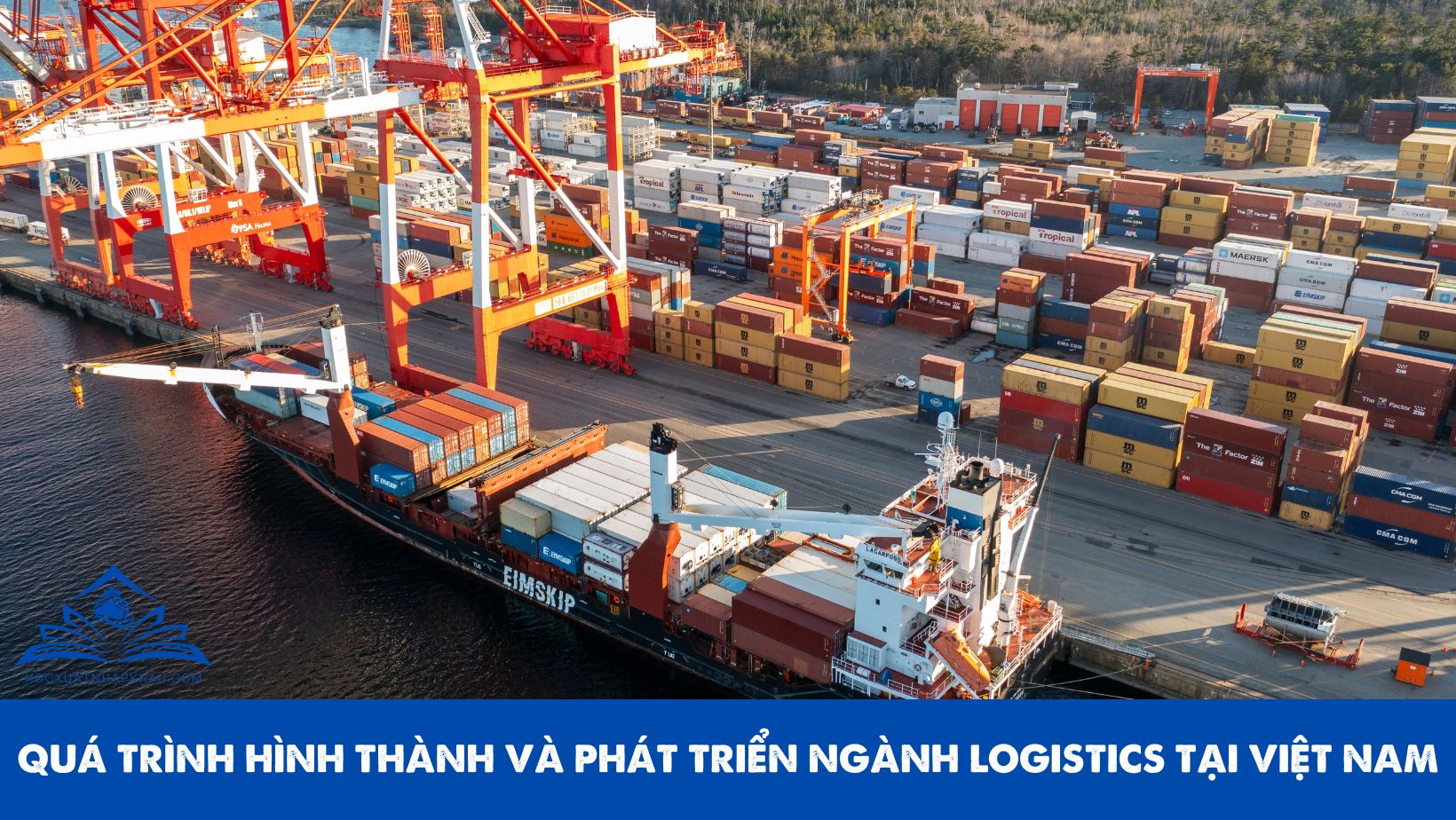 QUÁ TRÌNH HÌNH THÀNH VÀ PHÁT TRIỂN NGÀNH LOGISTICS TẠI VIỆT NAM