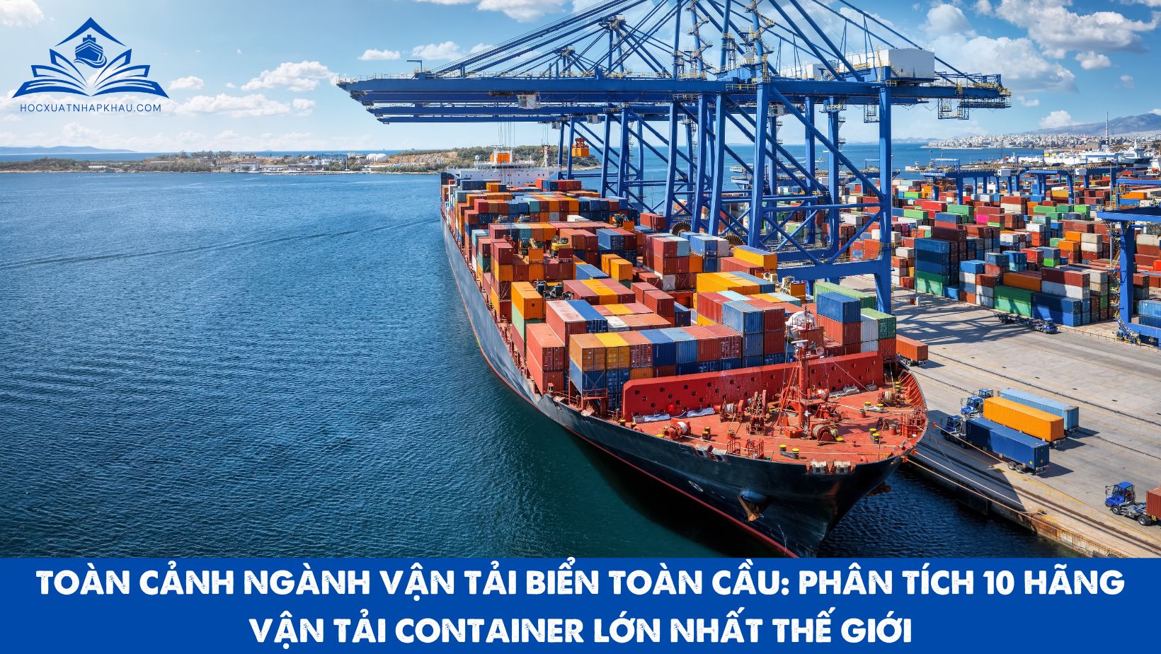 TOÀN CẢNH NGÀNH VẬN TẢI BIỂN TOÀN CẦU: PHÂN TÍCH 10 HÃNG VẬN TẢI CONTAINER LỚN NHẤT THẾ GIỚI