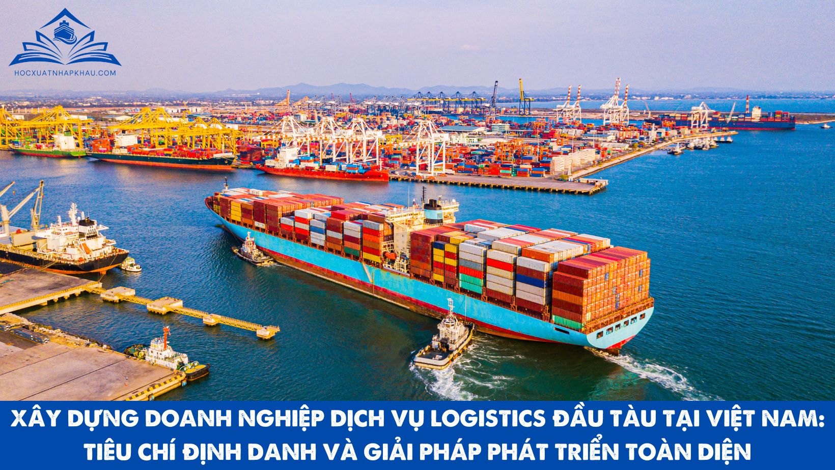 XÂY DỰNG DOANH NGHIỆP DỊCH VỤ LOGISTICS ĐẦU TÀU TẠI VIỆT NAM: TIÊU CHÍ ĐỊNH DANH VÀ GIẢI PHÁP PHÁT TRIỂN TOÀN DIỆN